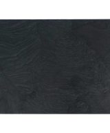 MSI Quartzite Countertops - Platinum Black