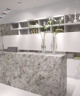 MSI Granite Countertops - Salinas White