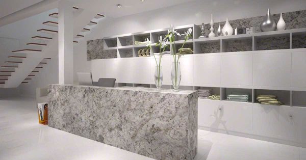 MSI Granite Countertops - Salinas White