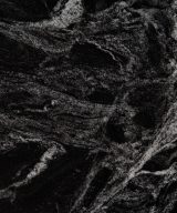 MSI Granite Countertops - Silver Waves