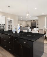MSI Granite Countertops - Titanium