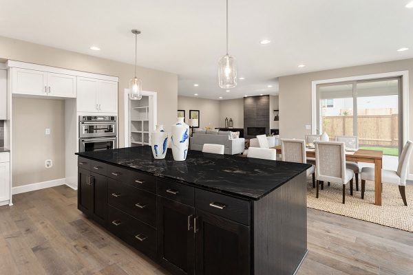MSI Granite Countertops - Titanium