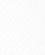 MSI White 2x4 Beveled Glossy