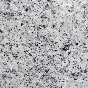 MSI Granite Countertops - White Napoli