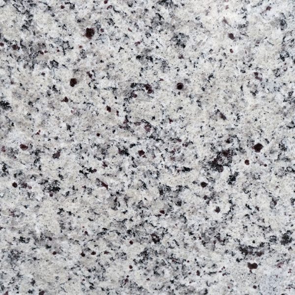 MSI Granite Countertops - White Napoli