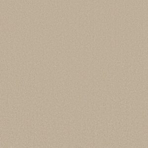 Shaw Floors Retail ULTIMATE EXPRESSION 12' - 00102 PUDDING