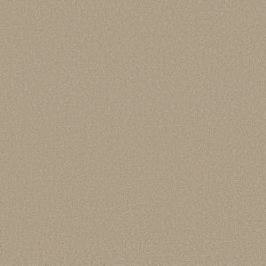 Shaw Floors Retail ULTIMATE EXPRESSION 12' - 00104 OATMEAL