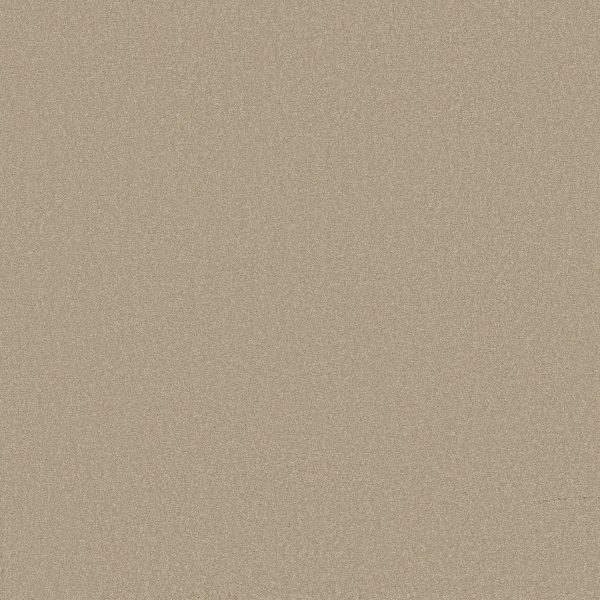 Shaw Floors Retail ULTIMATE EXPRESSION 12' - 00104 OATMEAL