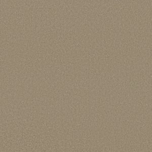 Shaw Floors Retail ULTIMATE EXPRESSION 12' - 00105 SOFT SHADOW