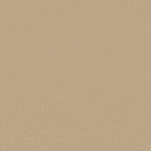 Shaw Floors Retail ULTIMATE EXPRESSION 12' - 00106 CASHEW
