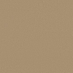 Shaw Floors Retail ULTIMATE EXPRESSION 12' - 00110 STUCCO