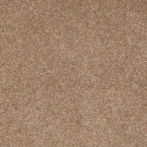 Shaw Floors Retail ULTIMATE EXPRESSION 12' - 00301 MOJAVE