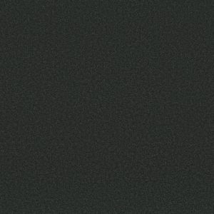 Shaw Floors Retail ULTIMATE EXPRESSION 12' - 00503 GRAPHITE