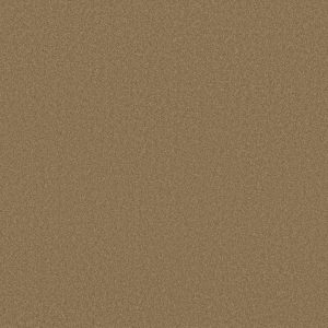 Shaw Floors Retail ULTIMATE EXPRESSION 12' - 00700 MUFFIN