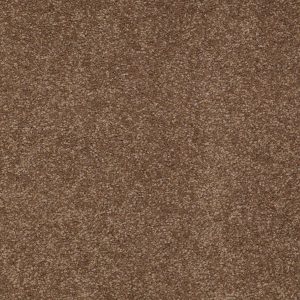 Shaw Floors Retail ULTIMATE EXPRESSION 12' - 00703 PINE CONE
