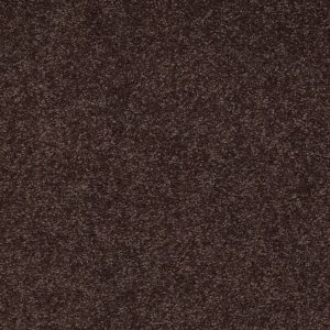 Shaw Floors Retail ULTIMATE EXPRESSION 12' - 00708 TUNDRA