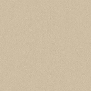 Shaw Floors Retail ULTIMATE EXPRESSION 15' - 00101 MUSHROOM