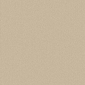 Shaw Floors Retail ULTIMATE EXPRESSION 15' - 00102 PUDDING