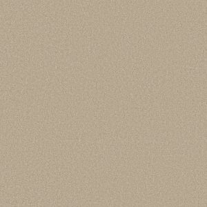 Shaw Floors Retail ULTIMATE EXPRESSION 15' - 00104 OATMEAL