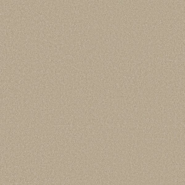 Shaw Floors Retail ULTIMATE EXPRESSION 15' - 00104 OATMEAL