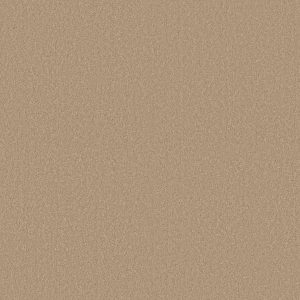 Shaw Floors Retail ULTIMATE EXPRESSION 15' - 00110 STUCCO