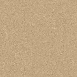 Shaw Floors Retail ULTIMATE EXPRESSION 15' - 00201 MARZIPAN