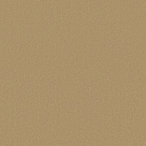 Shaw Floors Retail ULTIMATE EXPRESSION 15' - 00202 CORNFIELD