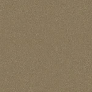 Shaw Floors Retail ULTIMATE EXPRESSION 15' - 00205 SAHARA