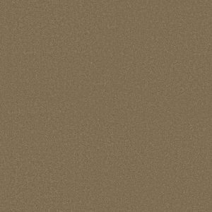 Shaw Floors Retail ULTIMATE EXPRESSION 15' - 00301 MOJAVE
