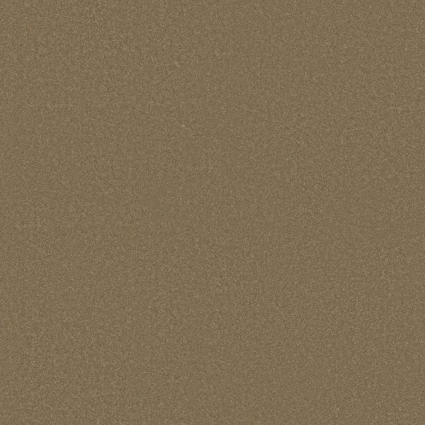 Shaw Floors Retail ULTIMATE EXPRESSION 15' - 00301 MOJAVE