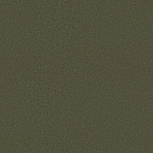 Shaw Floors Retail ULTIMATE EXPRESSION 15' - 00305 ALPINE FERN