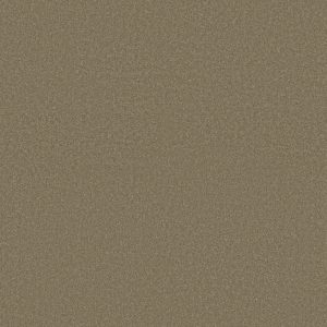Shaw Floors Retail ULTIMATE EXPRESSION 15' - 00306 CHINCHILLA