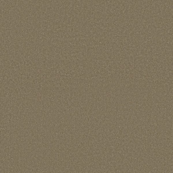 Shaw Floors Retail ULTIMATE EXPRESSION 15' - 00306 CHINCHILLA