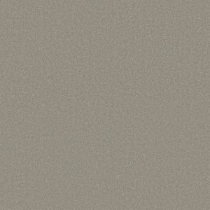 Shaw Floors Retail ULTIMATE EXPRESSION 15' - 00500 SILVER CHARM