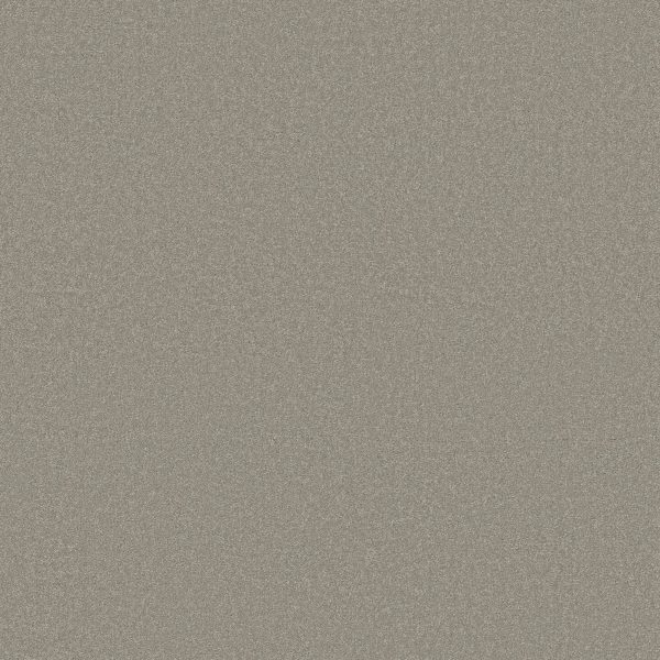 Shaw Floors Retail ULTIMATE EXPRESSION 15' - 00500 SILVER CHARM