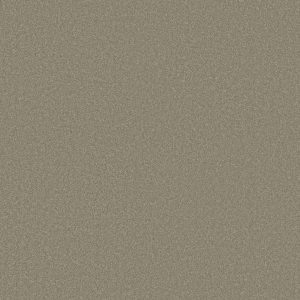 Shaw Floors Retail ULTIMATE EXPRESSION 15' - 00501 LONDON FOG