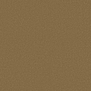 Shaw Floors Retail ULTIMATE EXPRESSION 15' - 00702 PEANUT BRITTLE