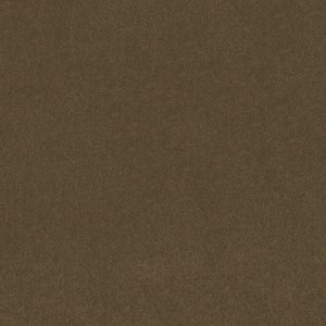 Shaw Floors Retail ULTIMATE EXPRESSION 15' - 00703 PINE CONE