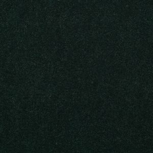 Philadelphia Main St EMPHATIC 36 - 00366 MOUNTAIN PINE