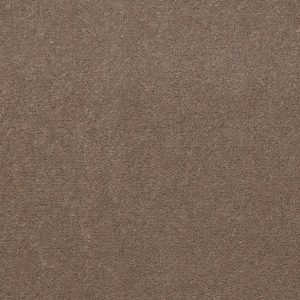 Philadelphia Main St EMPHATIC 36 - 00742 TOP TAUPE