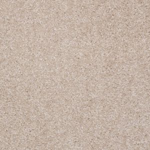 Shaw Floors Retail INSTANT WINNER - 00106 BABY'S BREATH