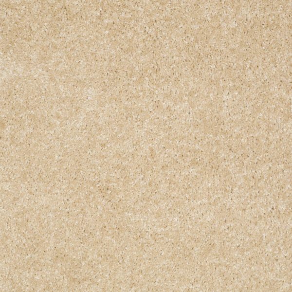 Shaw Floors Retail INSTANT WINNER - 00108 FAWN