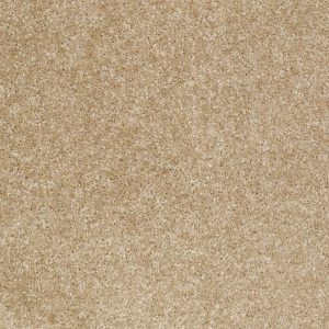 Shaw Floors Retail INSTANT WINNER - 00700 TWEED