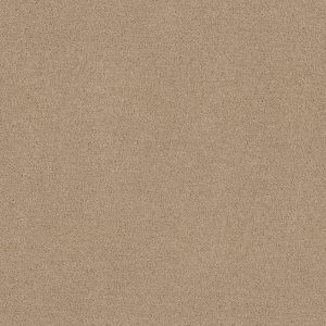 Shaw Floors Value ESSAY II 12' - 00109 CRISP LINEN