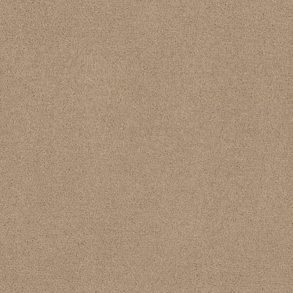 Shaw Floors Value ESSAY II 12' - 00109 CRISP LINEN