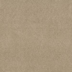 Shaw Floors Value ESSAY II 12' - 00116 SAND DOLLAR