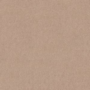 Shaw Floors Value ESSAY II 12' - 00103 SHEER ECRU