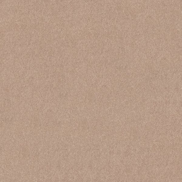 Shaw Floors Value ESSAY II 12' - 00103 SHEER ECRU