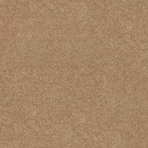 Shaw Floors Value ESSAY II 12' - 00260 STRAW HAT