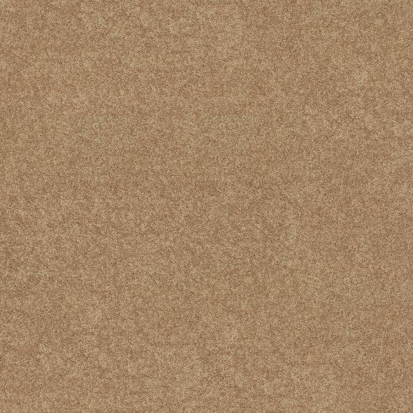 Shaw Floors Value ESSAY II 12' - 00260 STRAW HAT
